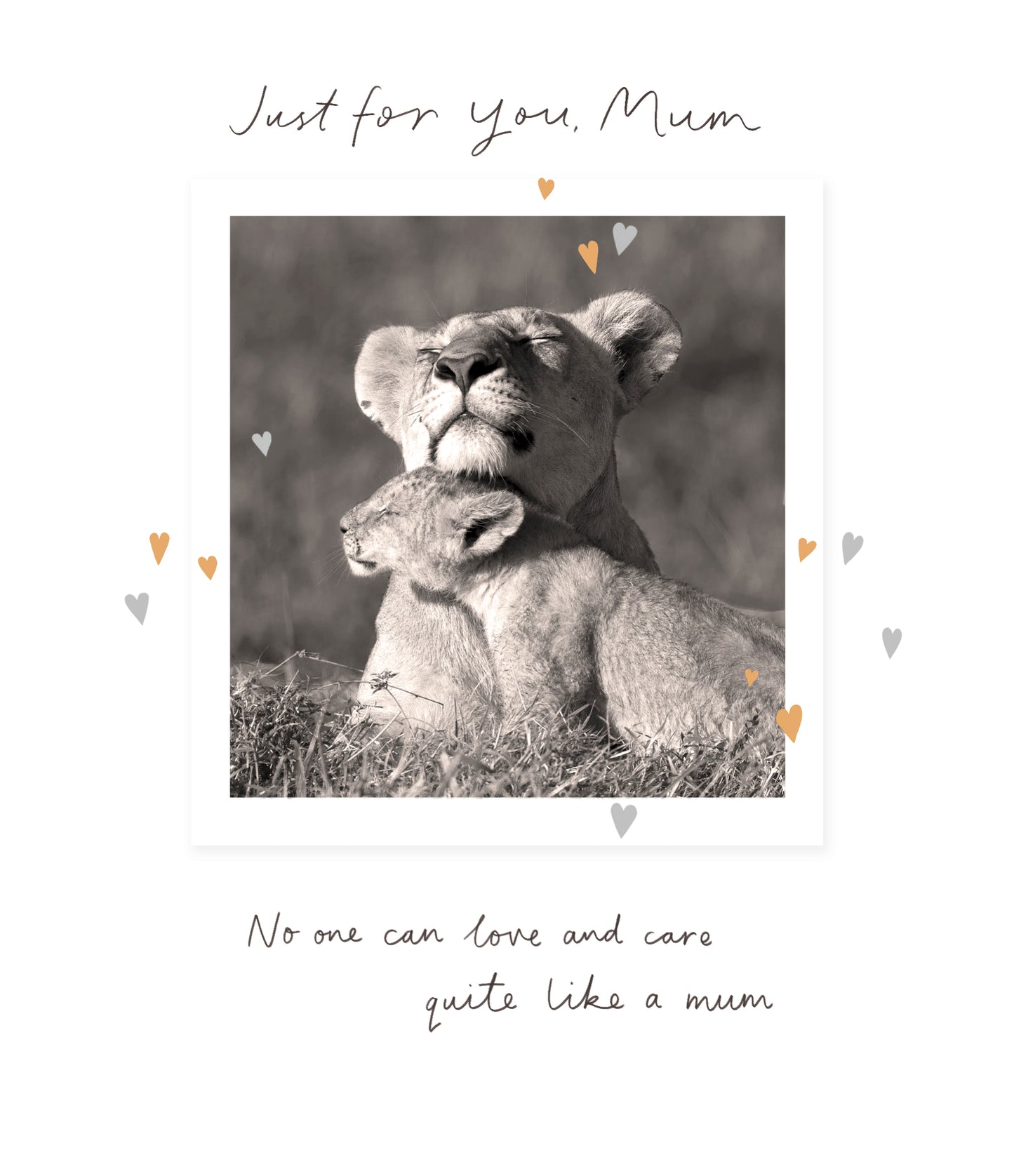 Standard Greeting Cards Mum  Carlton Core Line