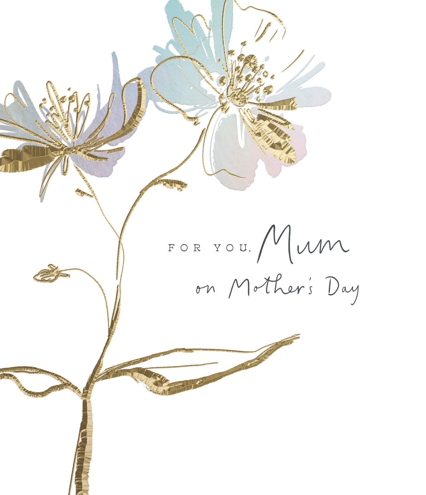 Clasp Greeting Cards Mum  Signature White Lotus
