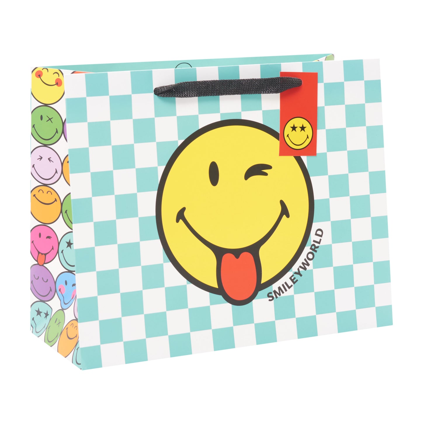 Gift Bag Large Landscape Greeting Cards Open Blank Smiley