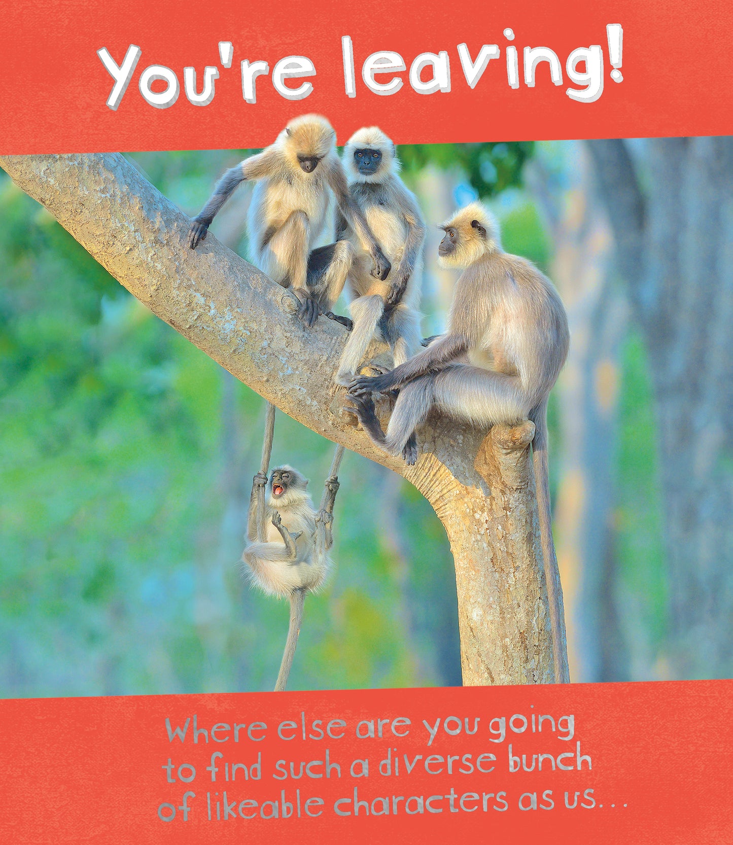 Large Card Standard Greeting Cards Sorry You're Leaving Hum Say Cheese!