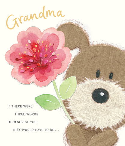 Standard Greeting Cards Birthday Grandma Cute Lots of Woof