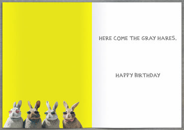 Standard Greeting Cards Birthday Hum Recycled Paper Group