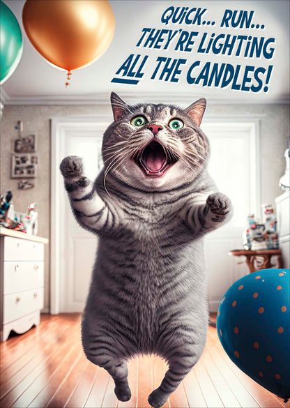 Standard Greeting Cards Birthday Hum Recycled Paper Group