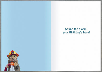 Standard Greeting Cards Birthday Hum Recycled Paper Group