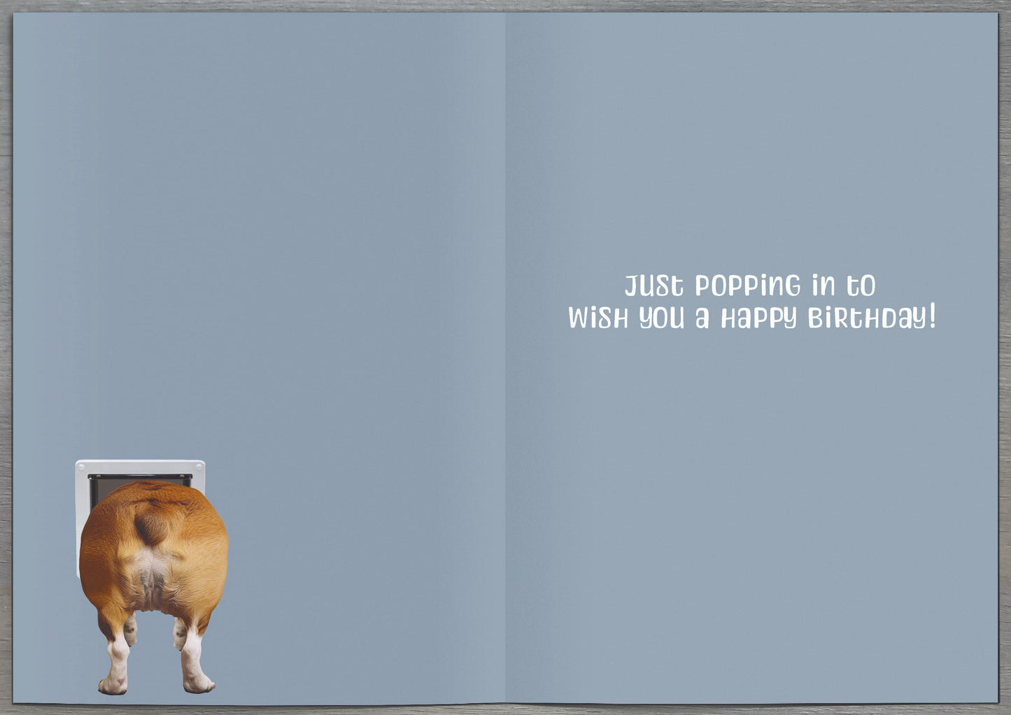 Standard Greeting Cards Birthday Hum Recycled Paper Group
