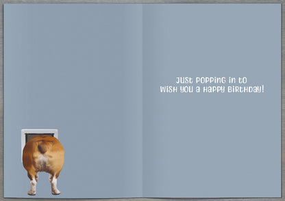 Standard Greeting Cards Birthday Hum Recycled Paper Group