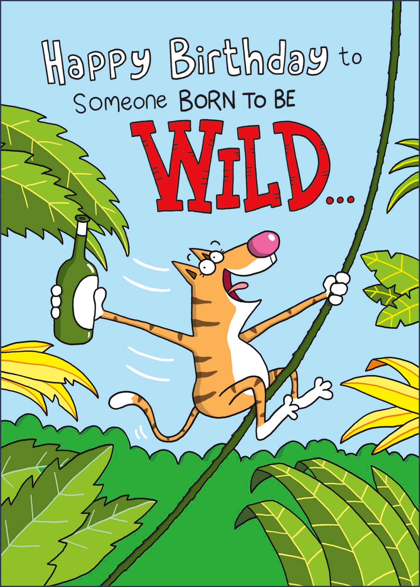Standard Greeting Cards Birthday Hum Giggles