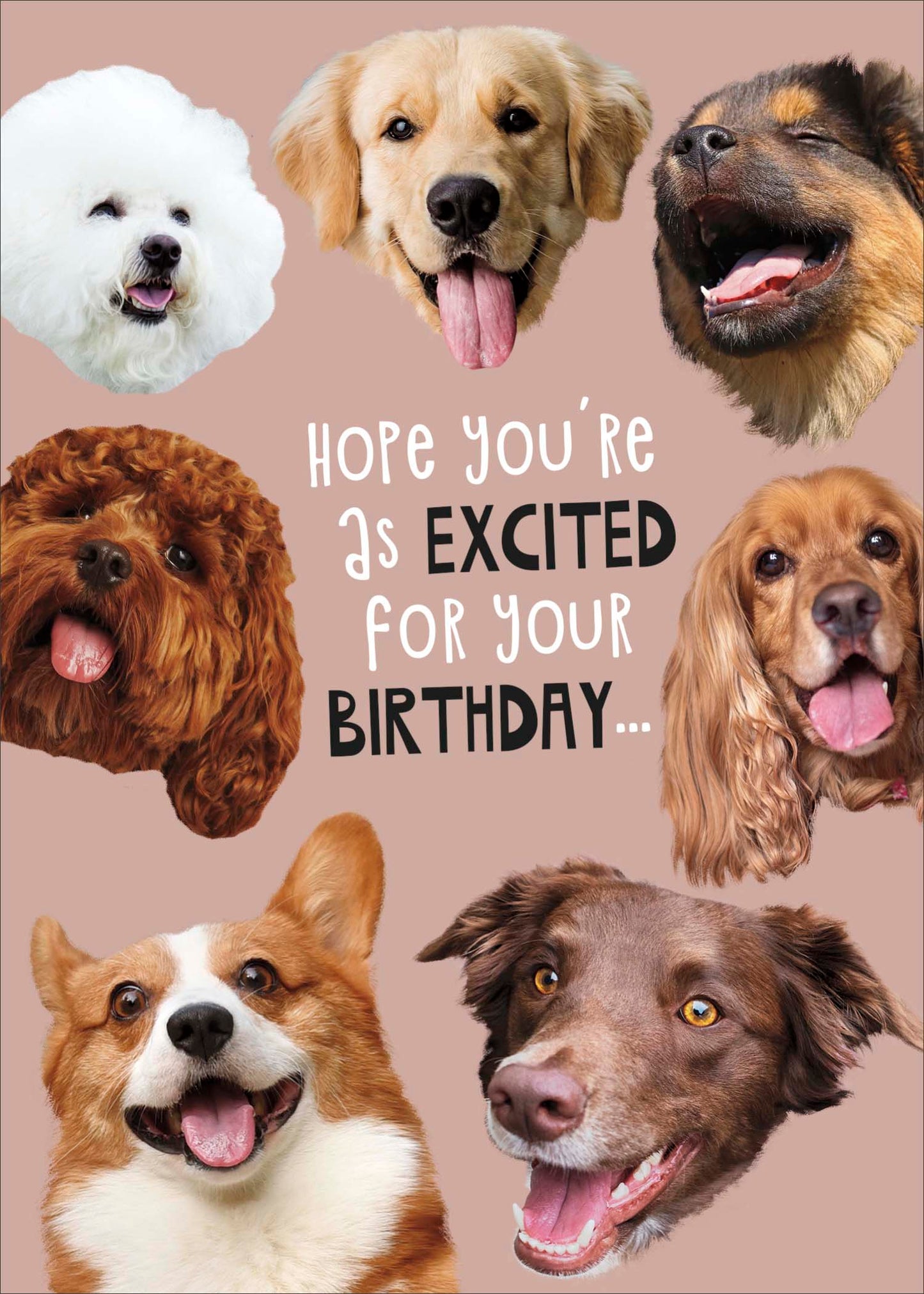 Standard Greeting Cards Birthday Hum Giggles