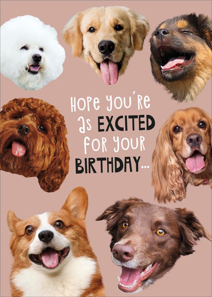 Standard Greeting Cards Birthday Hum Giggles