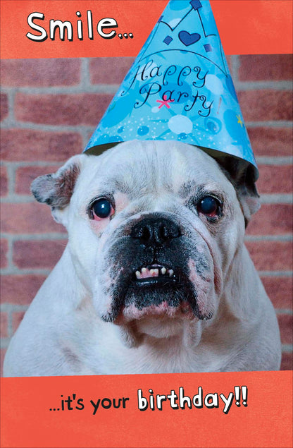 Standard Greeting Cards Birthday Hum Say Cheese!