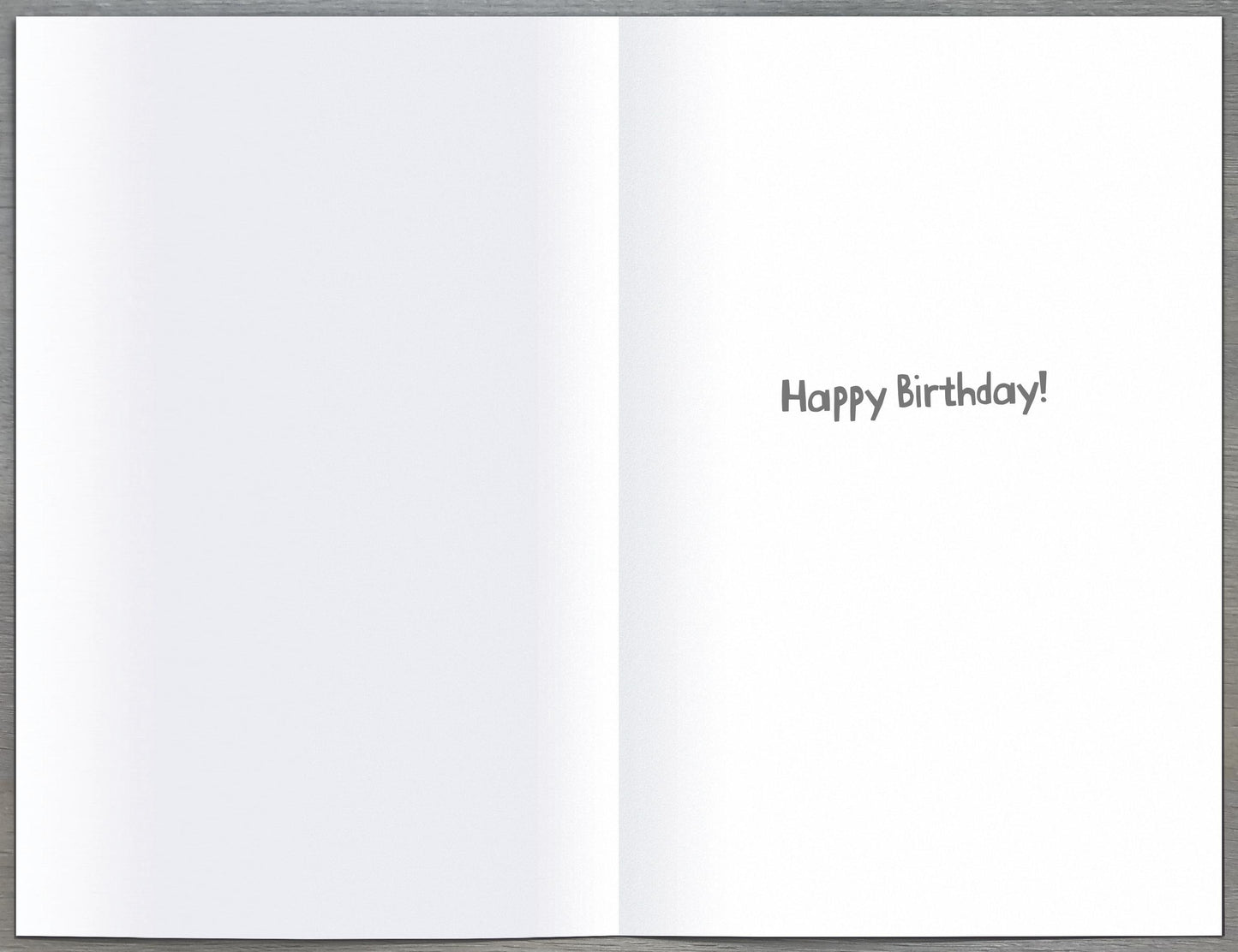 Standard Greeting Cards Birthday Hum Say Cheese!