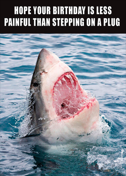 Standard Greeting Cards Birthday Hum Memes