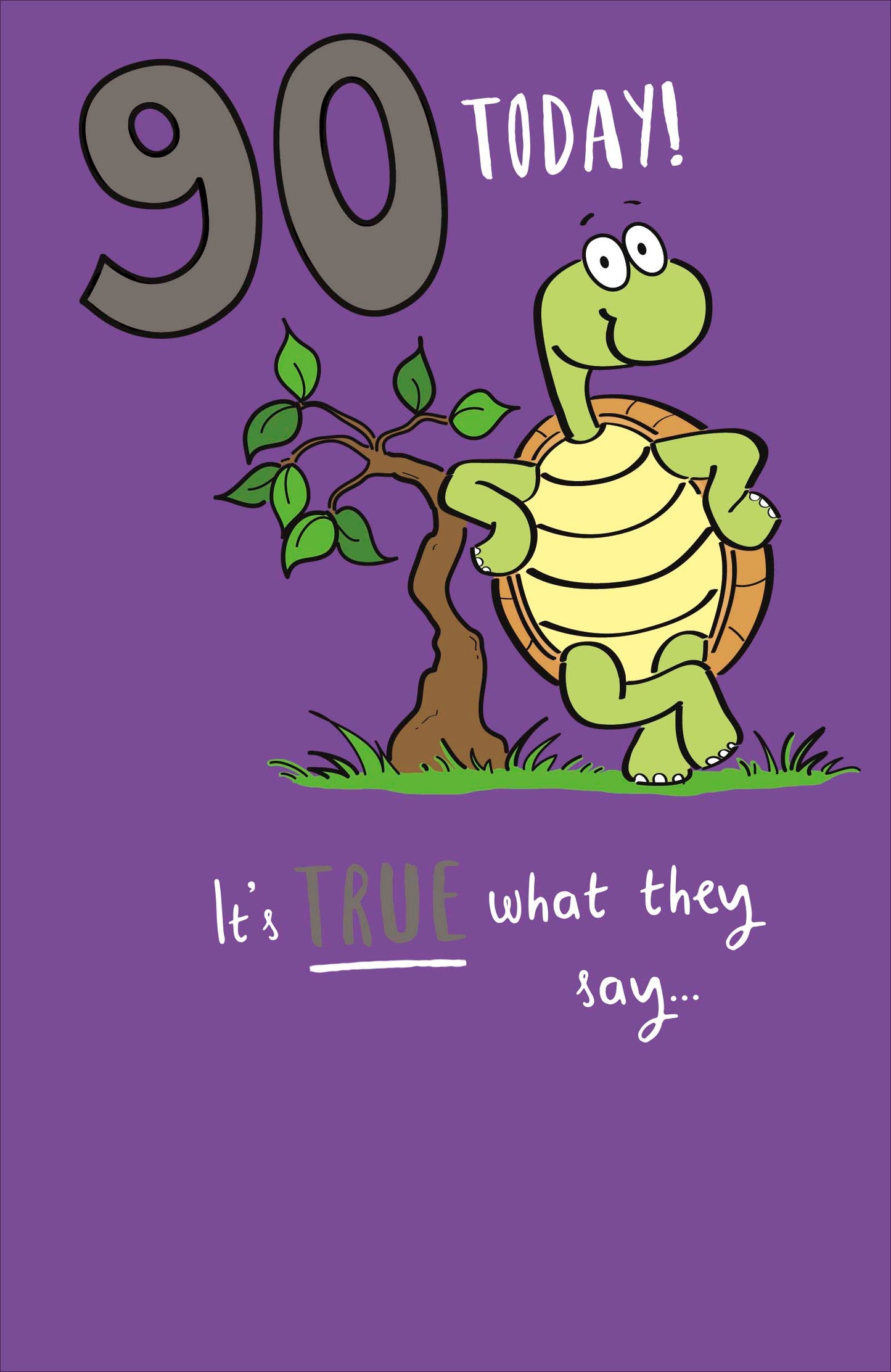 Standard Greeting Cards Birthday 90th Hum Giggles