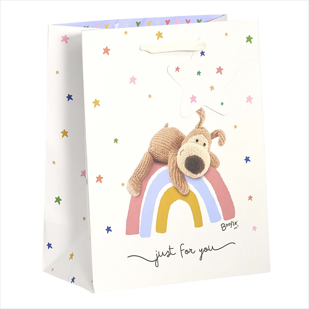 Gift Bag Medium Greeting Cards Open Blank  Boofle