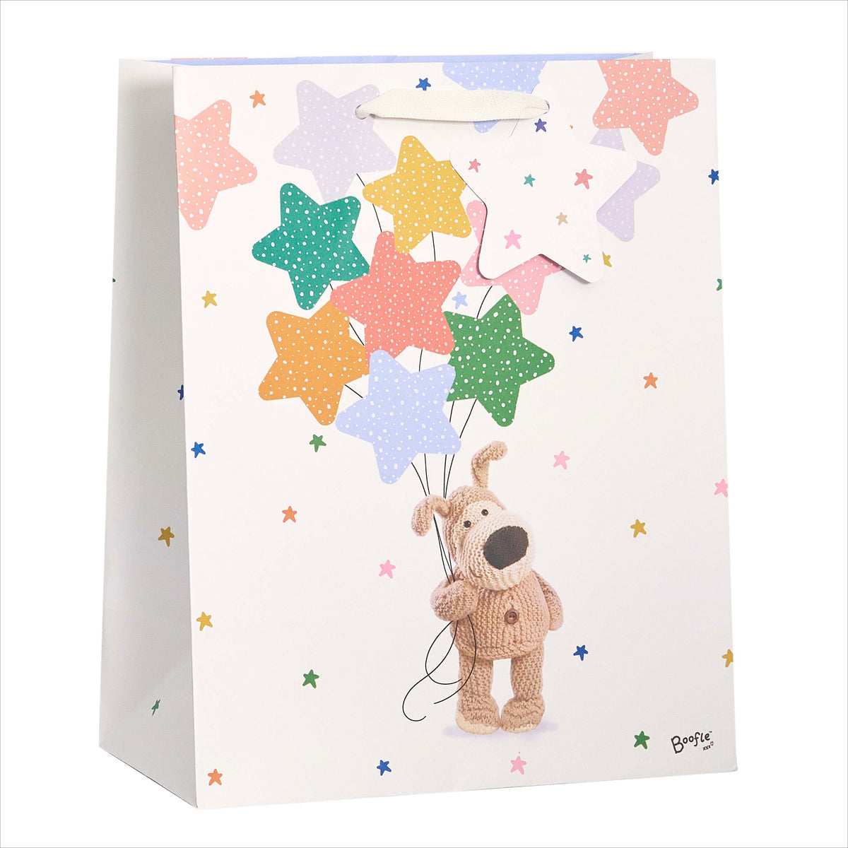 Gift Bag Large Greeting Cards Open Blank  Boofle