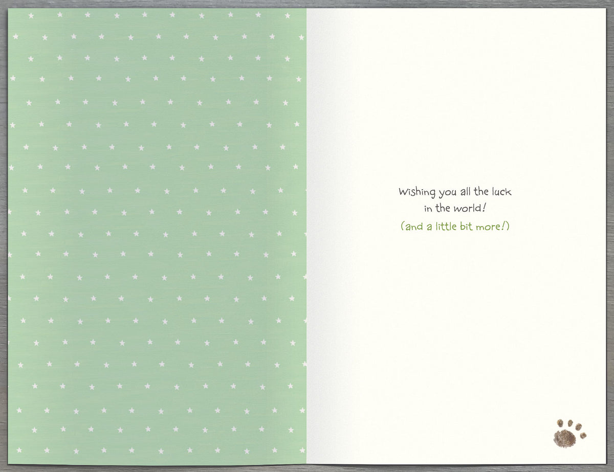 Standard Greeting Cards Good Luck Cute Lots of Woof