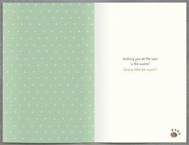 Standard Greeting Cards Good Luck Cute Lots of Woof