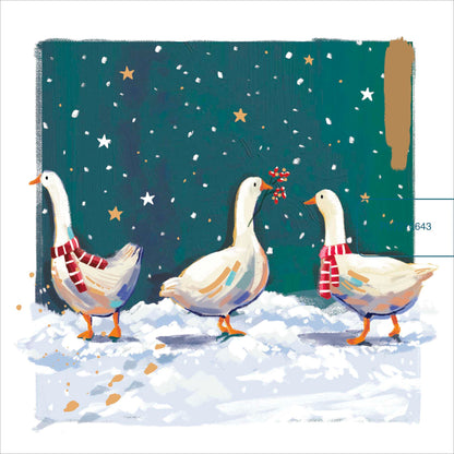 Clasp Greeting Cards  Signature Gallery Wild