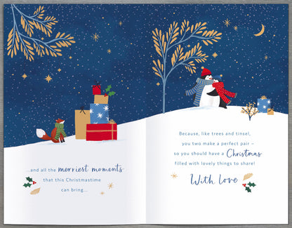 Standard Greeting Cards Brother & Sister In Law  Snowy Days