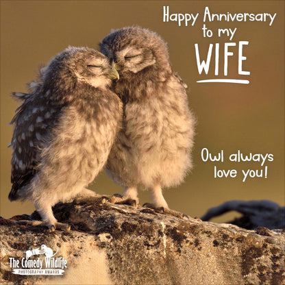 Standard Greeting Cards Anniversary Wedding Wife Hum Comedy Wildlife