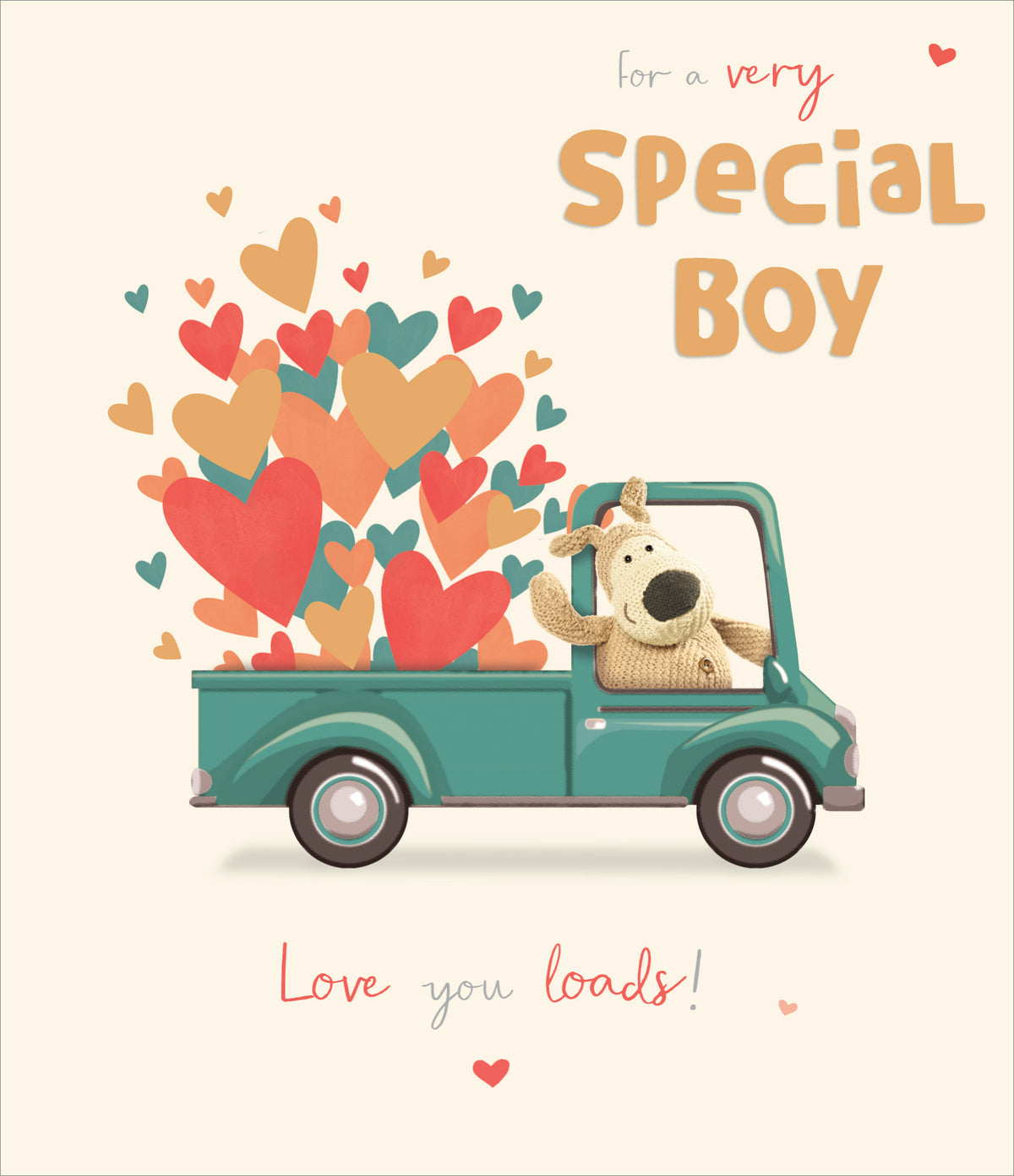 Standard Greeting Cards Special Boy Cute Boofle