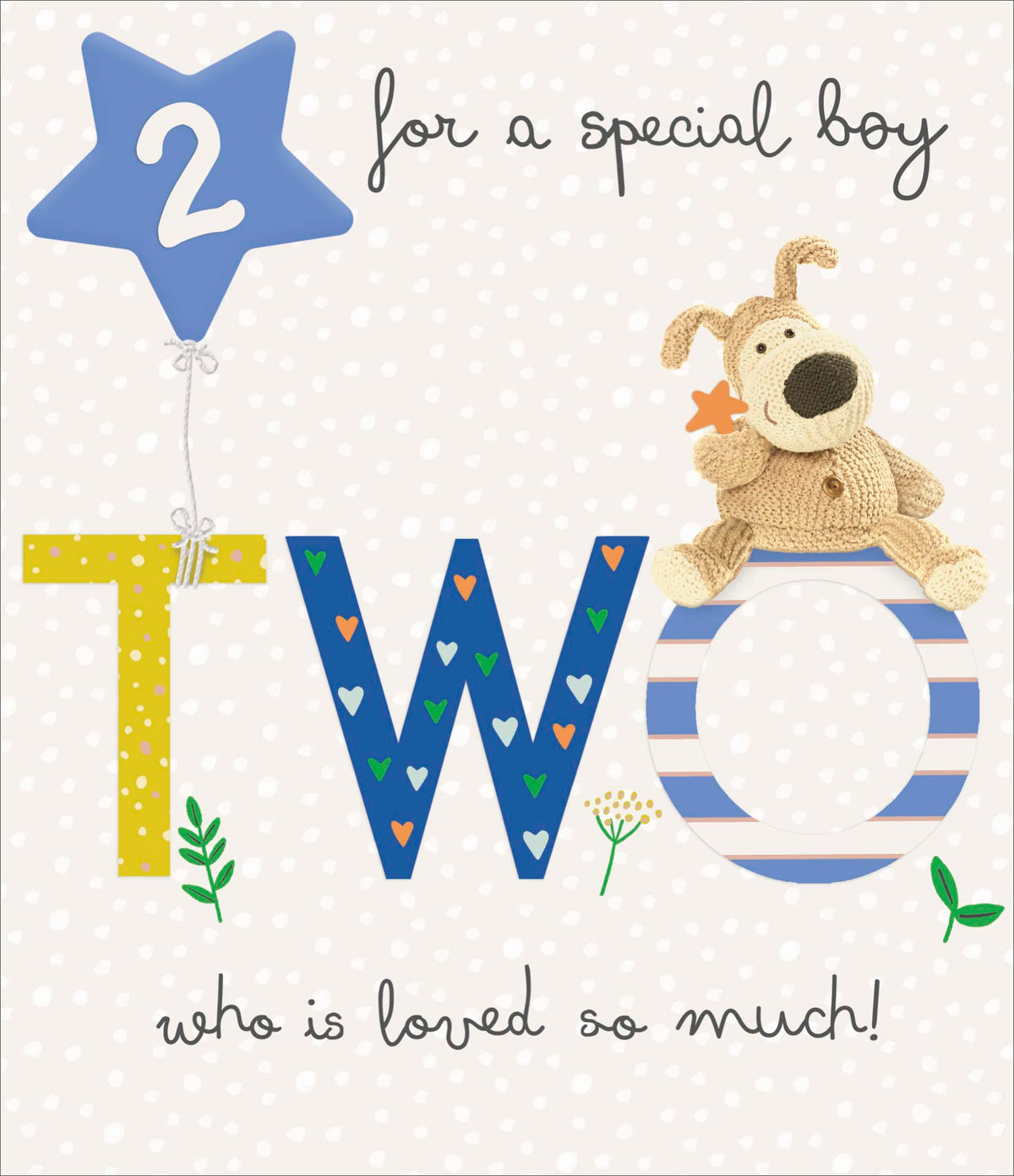 Standard Greeting Cards Birthday 2 Year Boy Cute Boofle