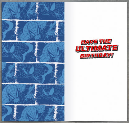 Standard Greeting Cards Birthday 8 Year Boy Juvenile Disney Spider-Man