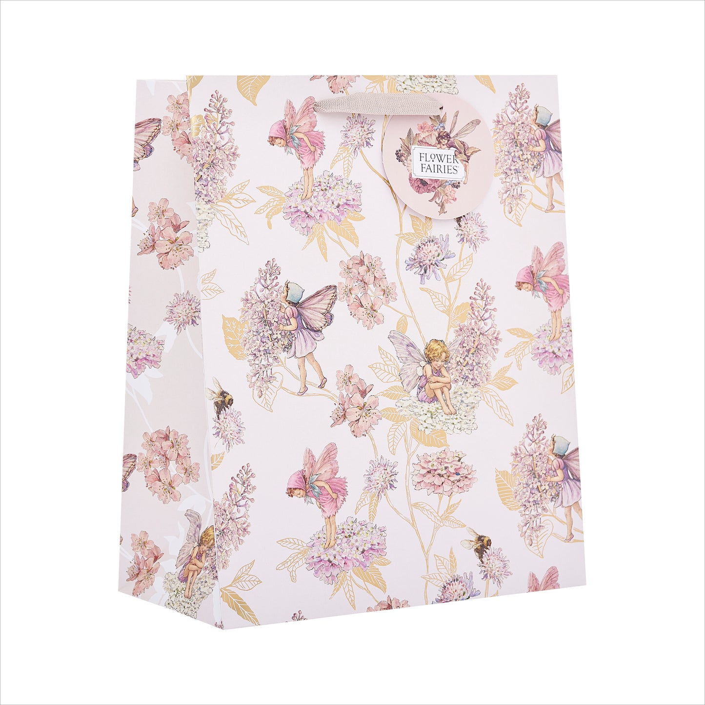Gift Bag Large Greeting Cards Open  Flower Fairies