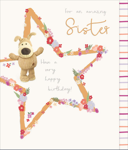 Standard Greeting Cards Birthday Sister Cute Boofle