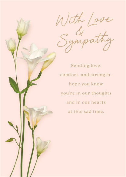 Standard Greeting Cards Sympathy Our Wish  Into the Meadow