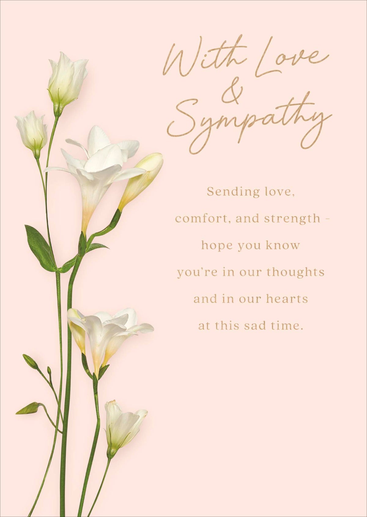 Sympathy Our Wish