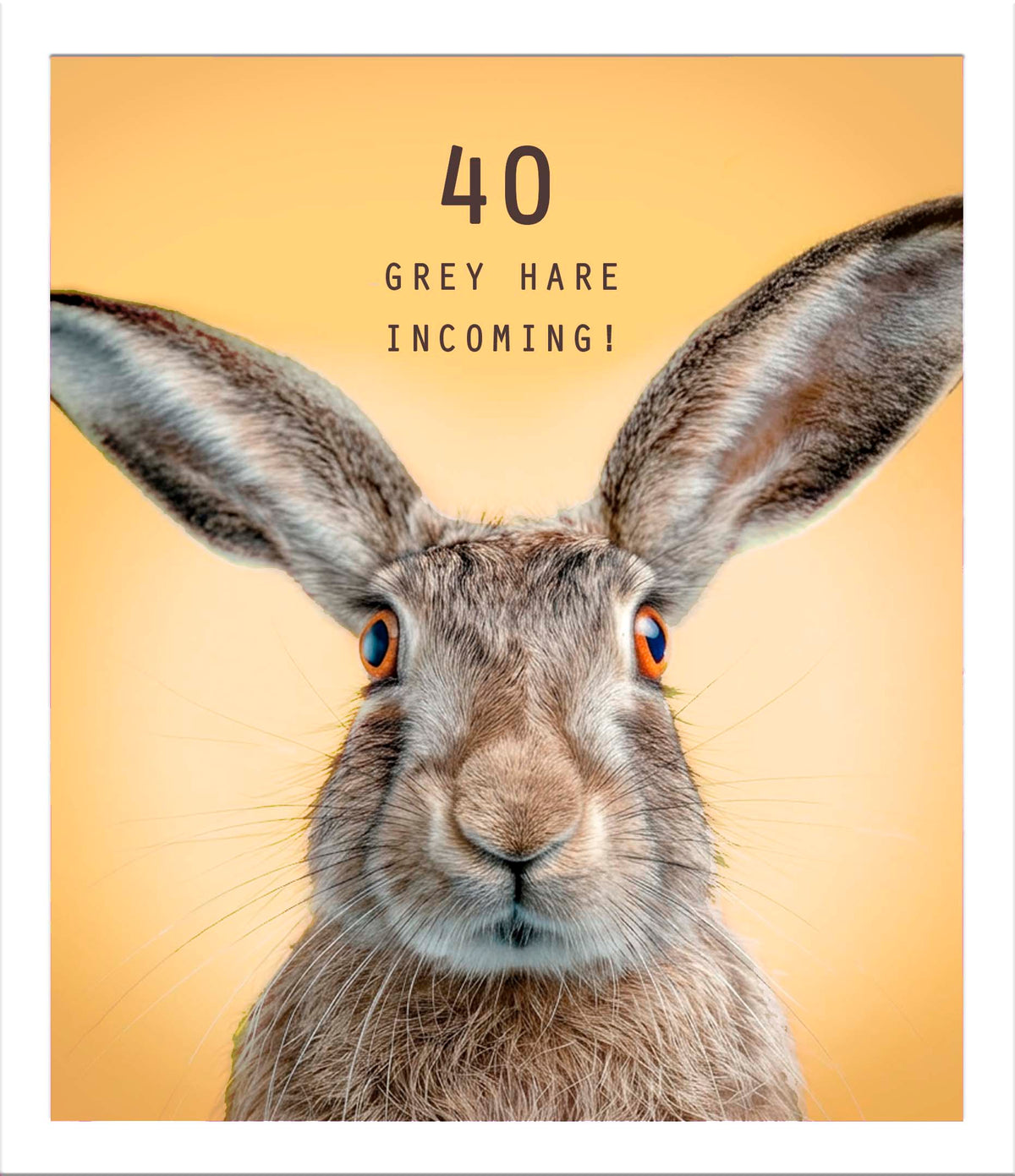 Birthday 40th Humour