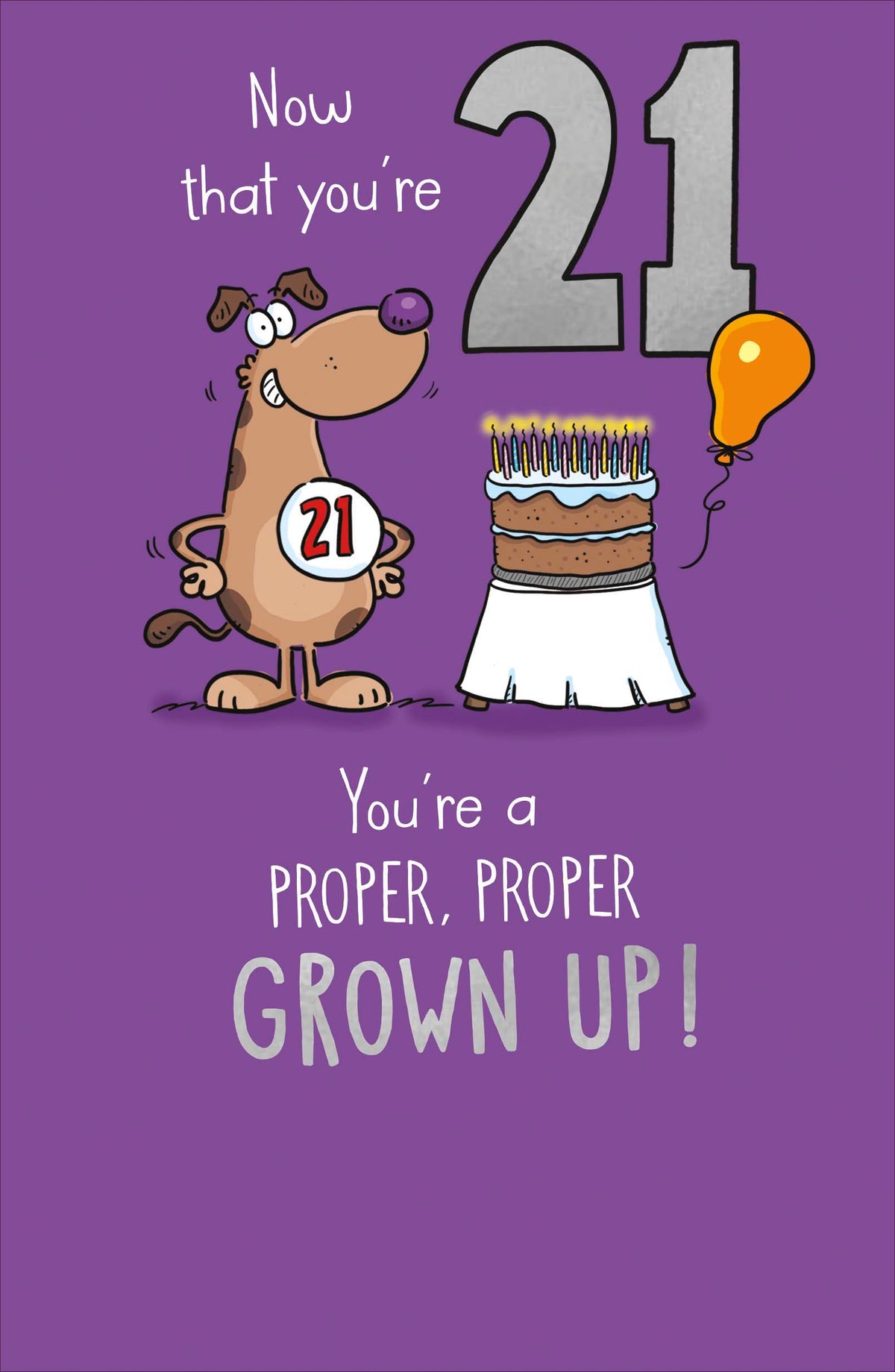 Standard Greeting Cards Birthday 21st Hum Giggles