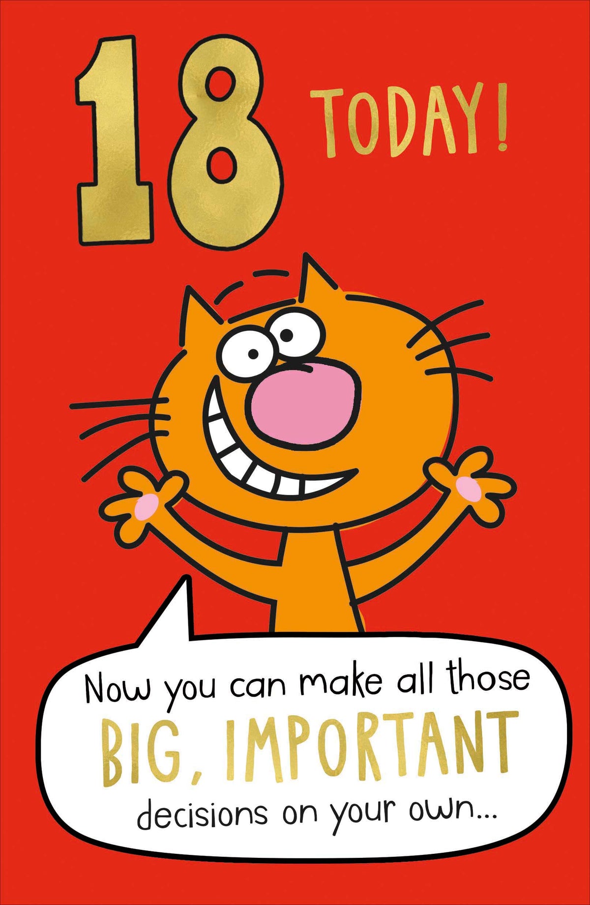 Standard Greeting Cards Birthday 18th Hum Giggles