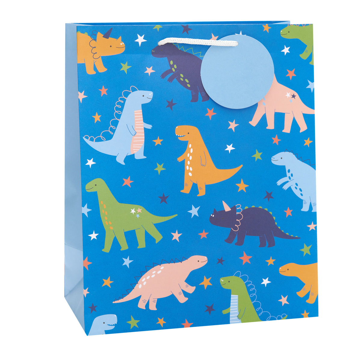 Gift Bag Large Greeting Cards Juvenileenile Male Essentials Dinosaur