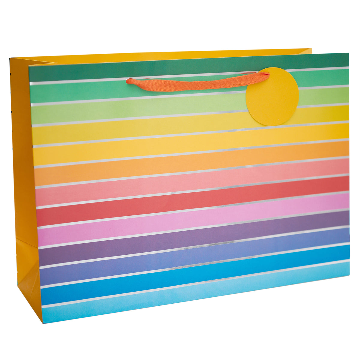 Gift Bag Extra Large Greeting Cards Open Blank Rainbow Brights
