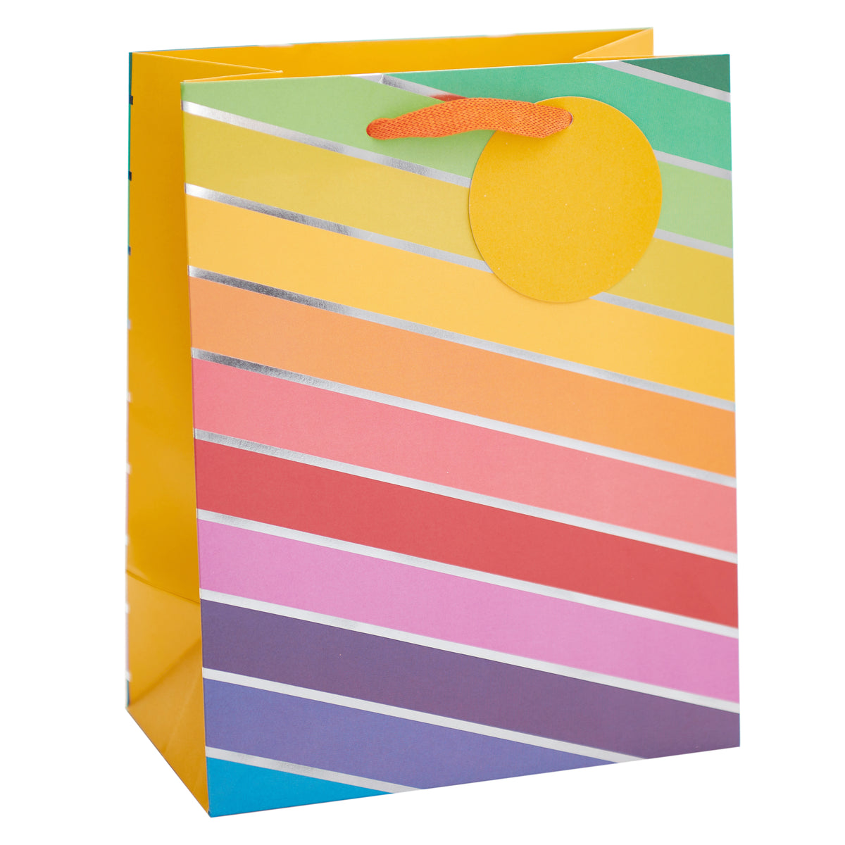 Gift Bag Medium Greeting Cards Open Blank Rainbow Brights