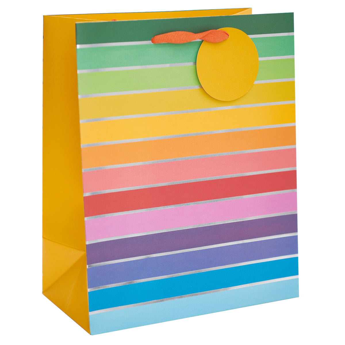 Gift Bag Large Greeting Cards Open Blank Rainbow Brights