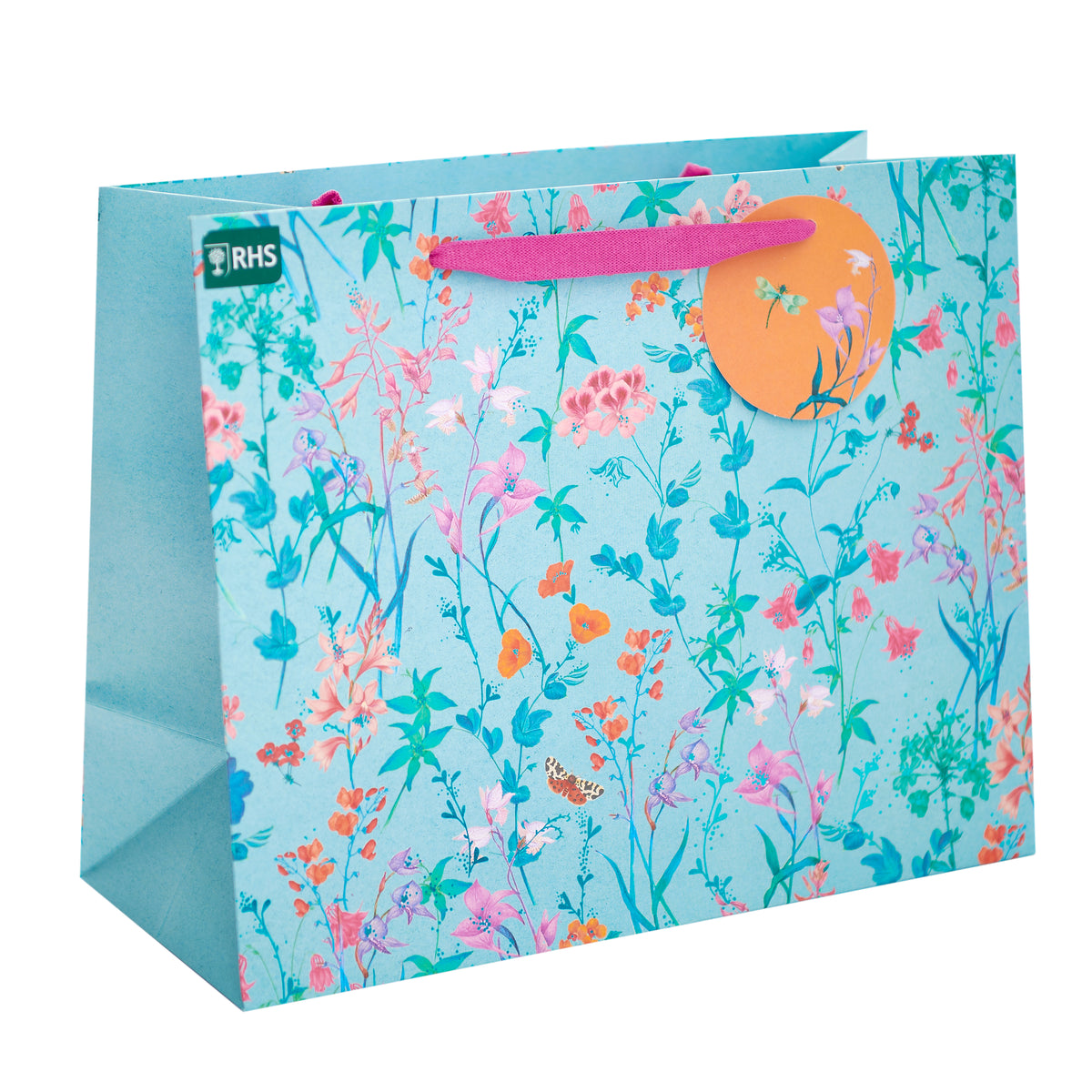 Gift Bag Large Greeting Cards Open Fem  RHS Regency
