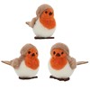 Country Robins Hanging