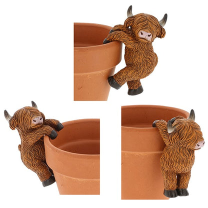 Happy Highland Coo Pot Hangers