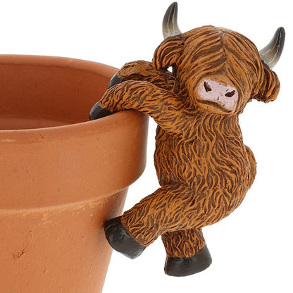 Happy Highland Coo Pot Hangers