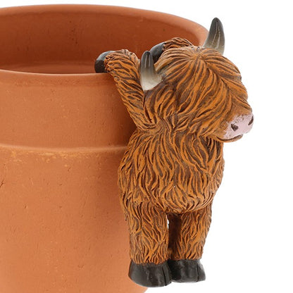 Happy Highland Coo Pot Hangers