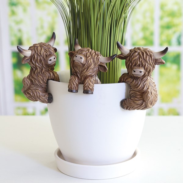 Highland Cow Pot Hangers