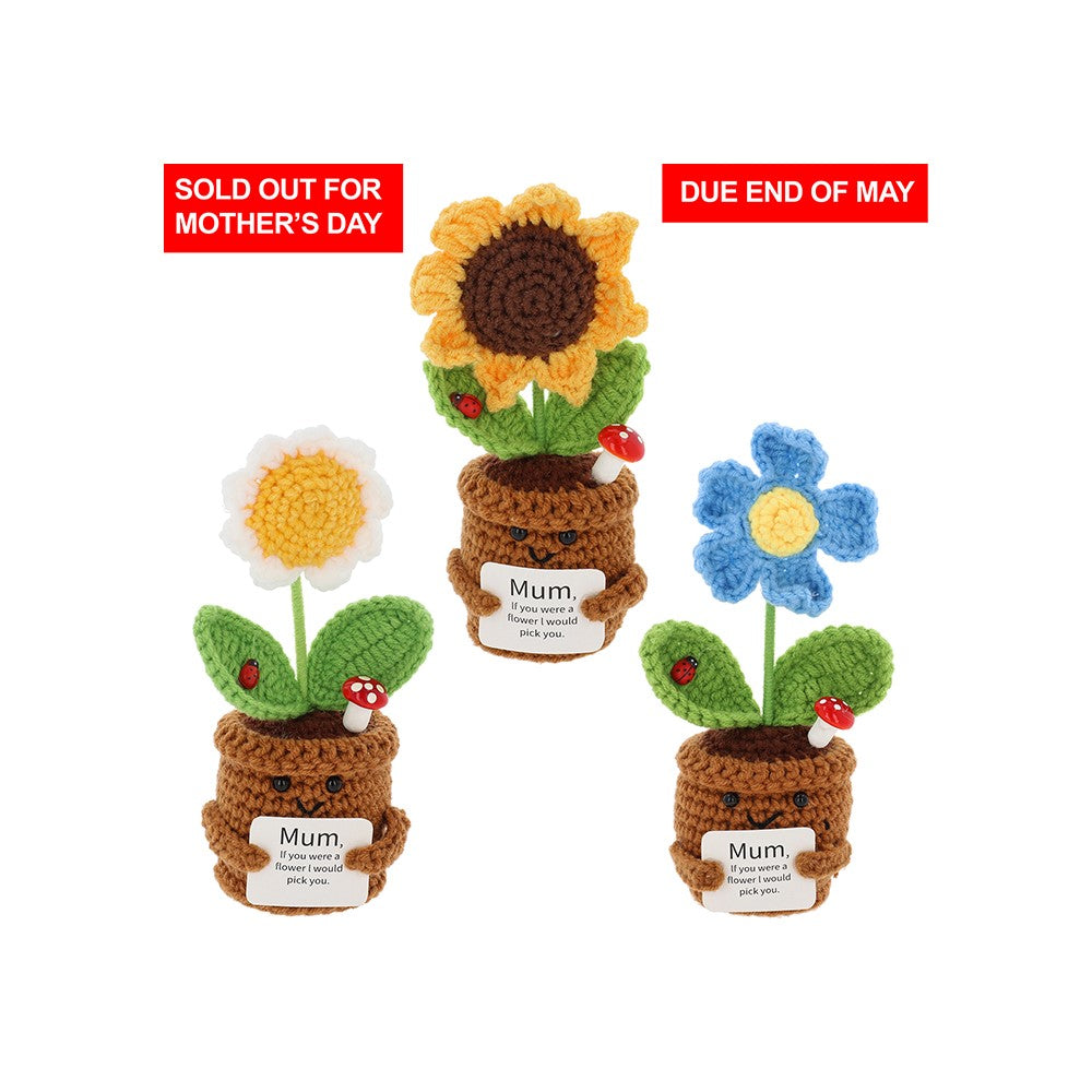 Crochet Smiley Pot Mum