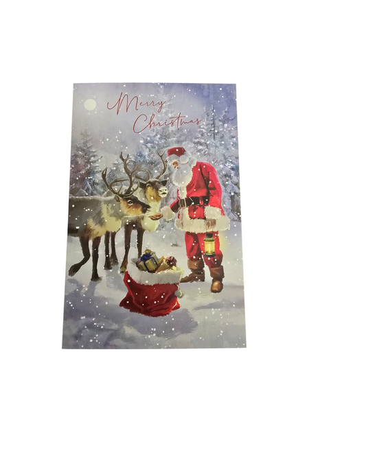 Counter Card Standard Xmas General 750887-0-1
