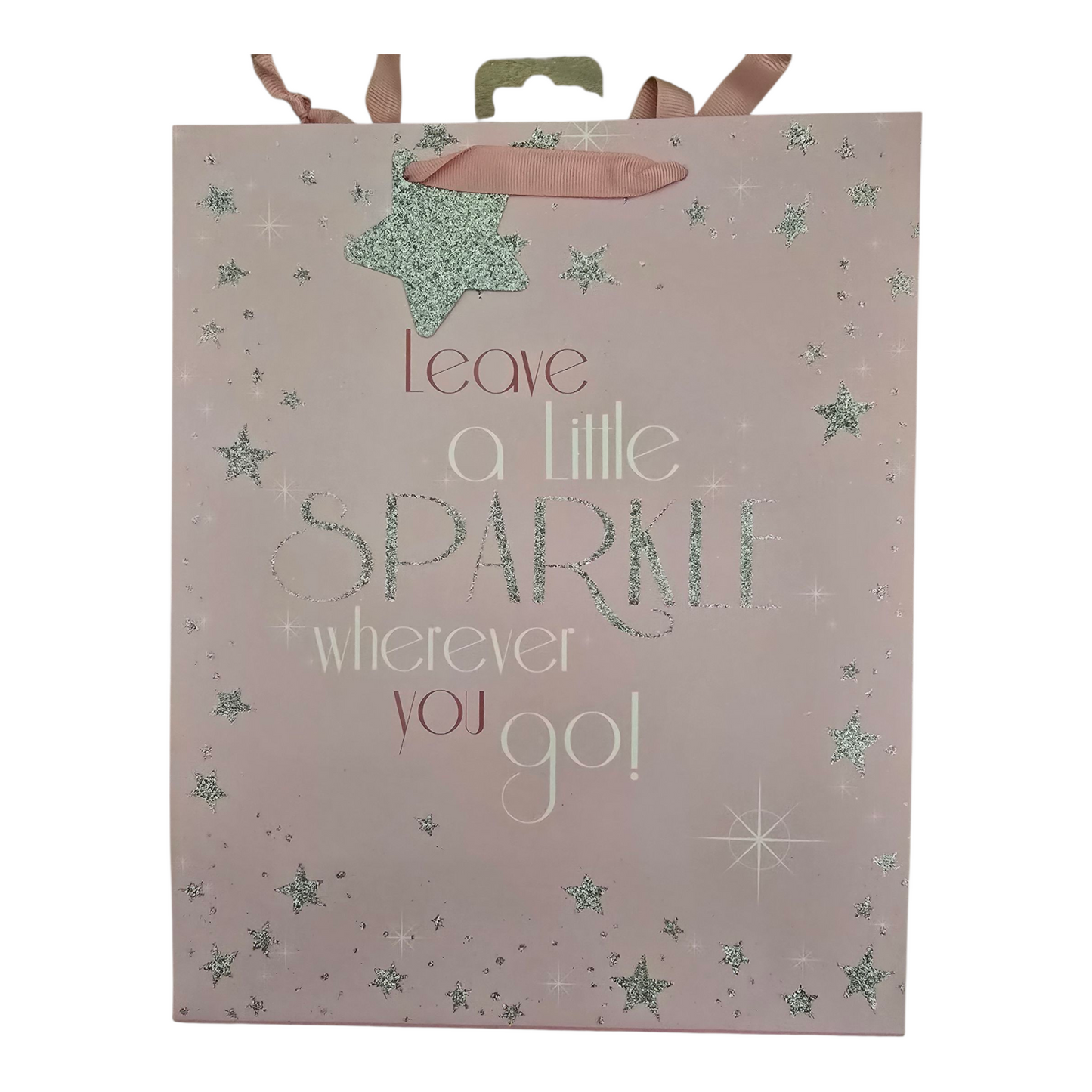 Large Gift Bag