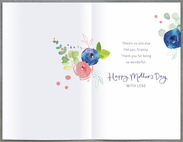 Standard Greeting Cards Granny  Gibson Core Line