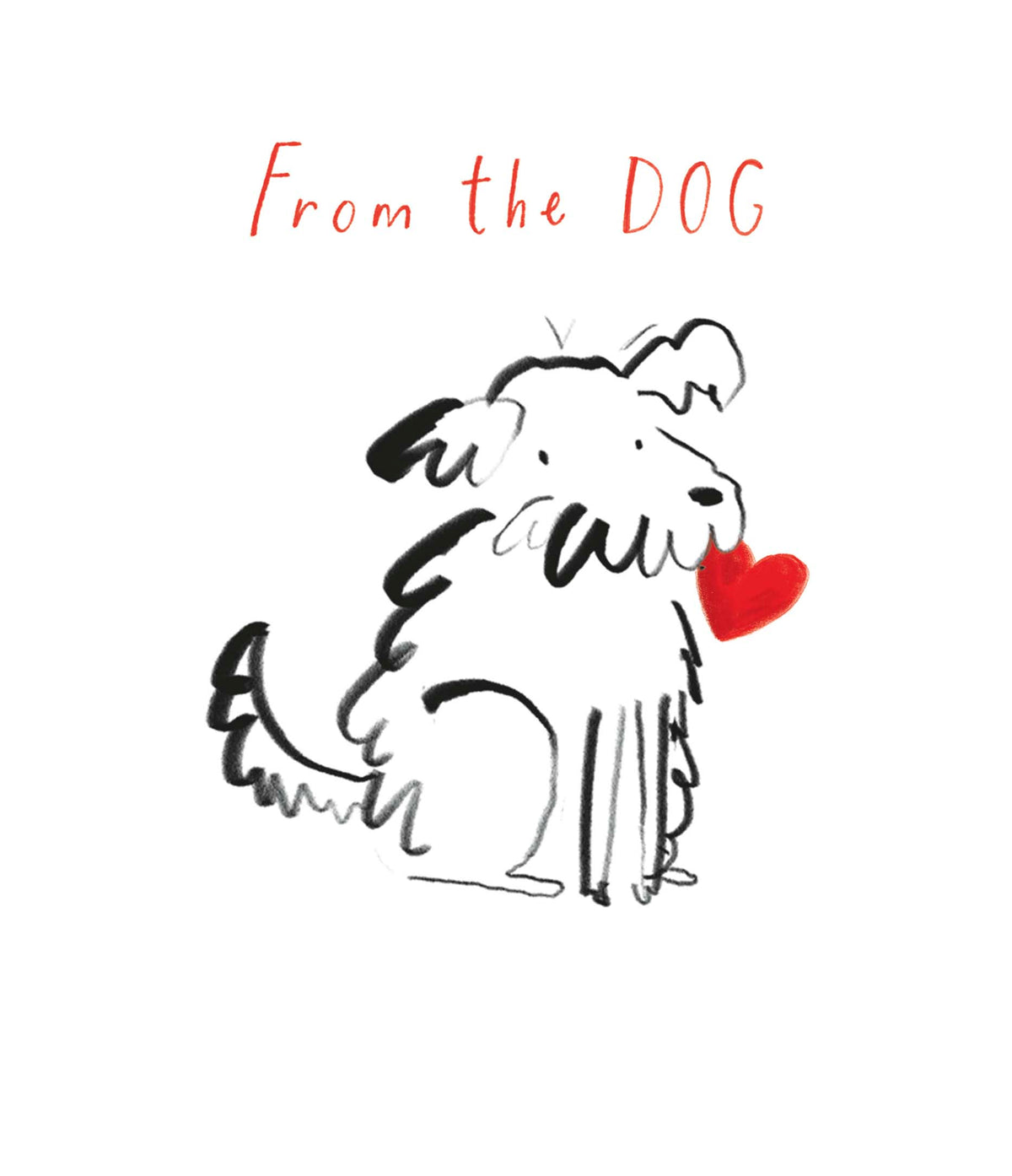 Standard Greeting Cards From Dog  Carlton Core Line