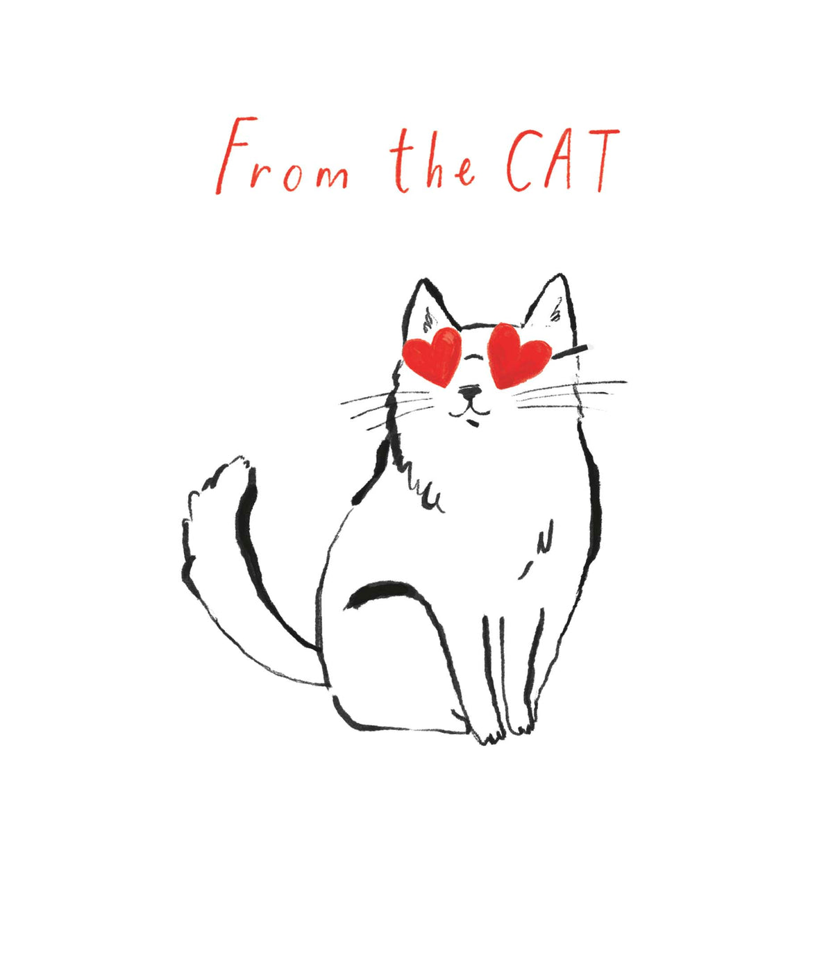 Standard Greeting Cards From Cat  Carlton Core Line